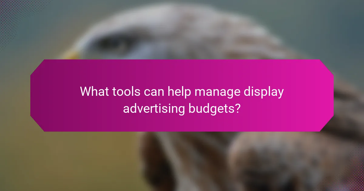 What tools can help manage display advertising budgets?
